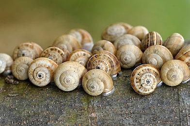 《使命召唤》新反作弊系统惨遭泄露 真是不幸