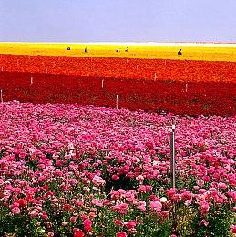 TGA2024提名完整名单 《FF7重生》《宇宙机器人》领跑