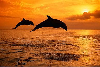 PS《绝区零》玩家率先享用光线追踪特效